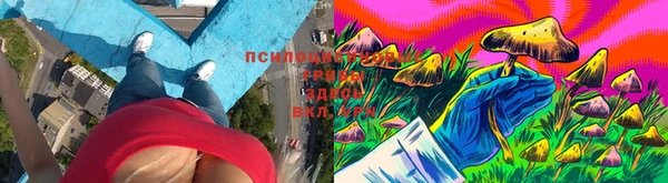 MDMA Premium VHQ Михайловск
