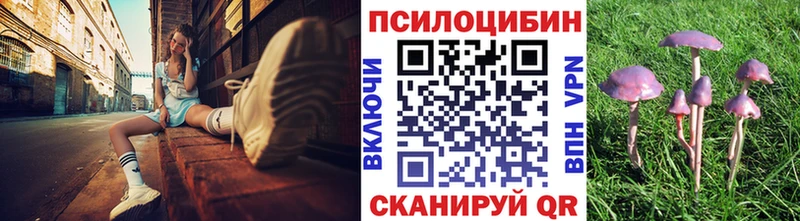 MEGA как войти  Сычёвка  Галлюциногенные грибы Magic Shrooms 