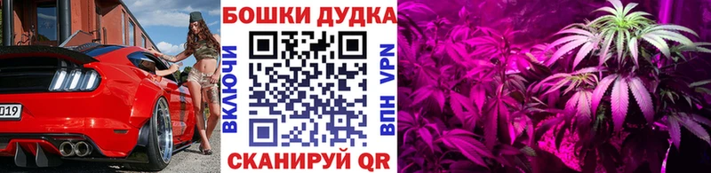 Бошки Шишки White Widow  Сычёвка 
